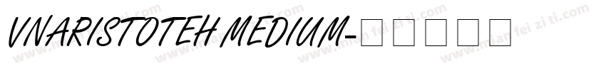 VnAristoteH Medium字体转换